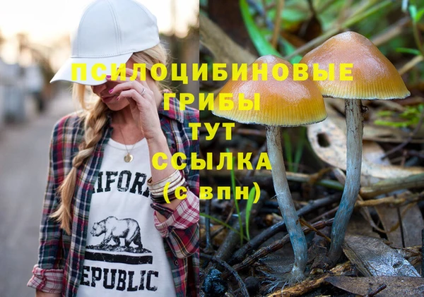 СК Липки