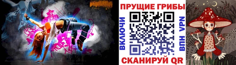 Псилоцибиновые грибы Psilocybe Владимир